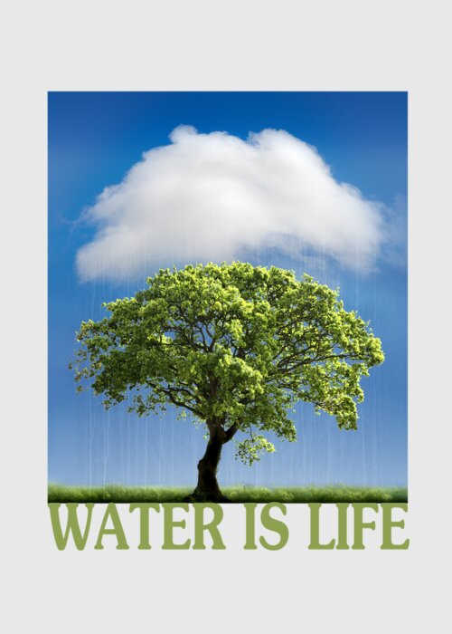 Water Greeting Card featuring the photograph Water is Life by Mal Bray