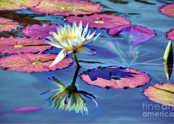 Water Lily In The Pond Greeting Card featuring the photograph Water Lily In The Pond by Savannah Gibbs