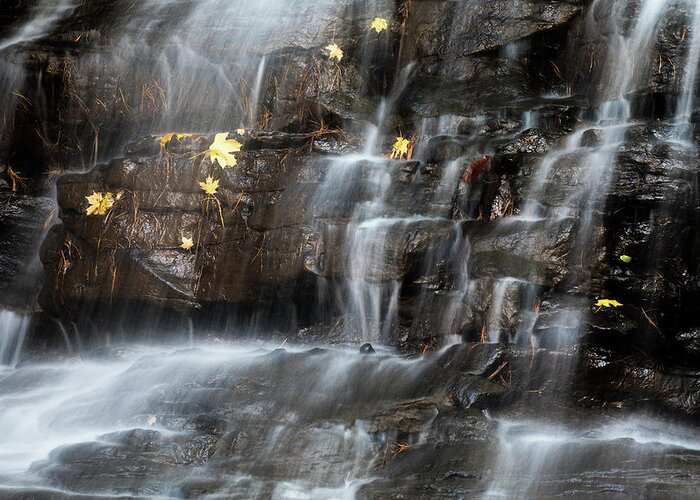 Honey Run Greeting Card featuring the photograph Waterfall in Autumn Sunlight by Tom Mc Nemar