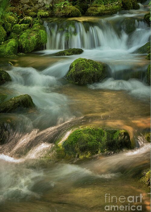 Waterfall Greeting Card featuring the photograph Waterfall. Fine Art Landscape by Jelena Jovanovic