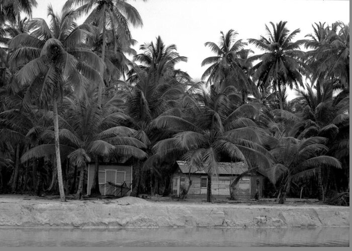 Black And White Greeting Card featuring the photograph Waterfront Homes In The Palm Trees by Lyle Crump