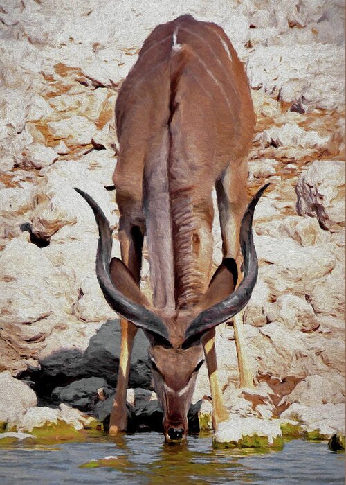 Kudu Greeting Card featuring the digital art Waterhole Kudu by Ernest Echols