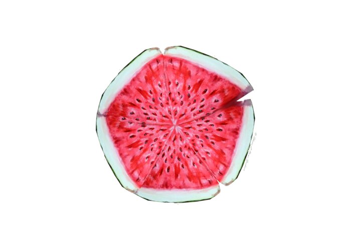 Fruit Greeting Card featuring the painting Watermelon Star Wheel by Shana Rowe Jackson