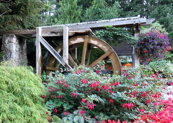 Flowers Greeting Card featuring the photograph Waterwheel by Betty Buller Whitehead