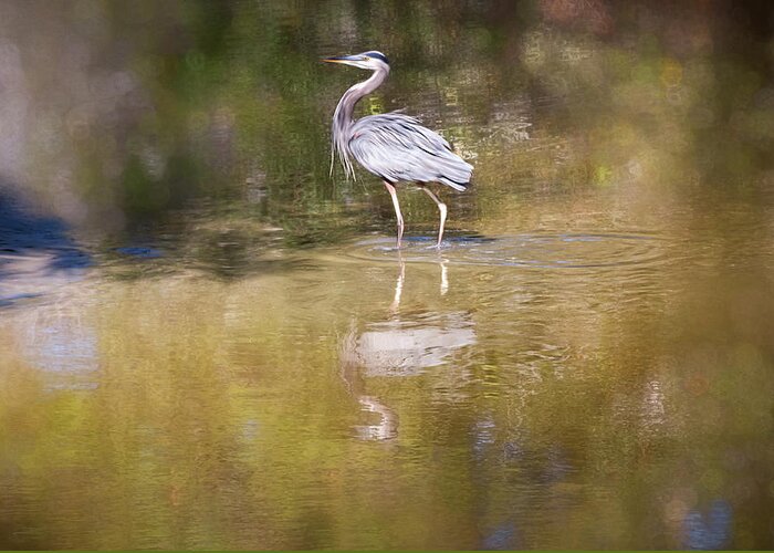 Heron Greeting Card featuring the photograph Watery World - by Julie Weber