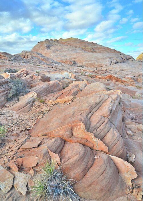 Valley Of Fire State Park Greeting Card featuring the photograph Wave of Sandstone in Valley of Fire by Ray Mathis