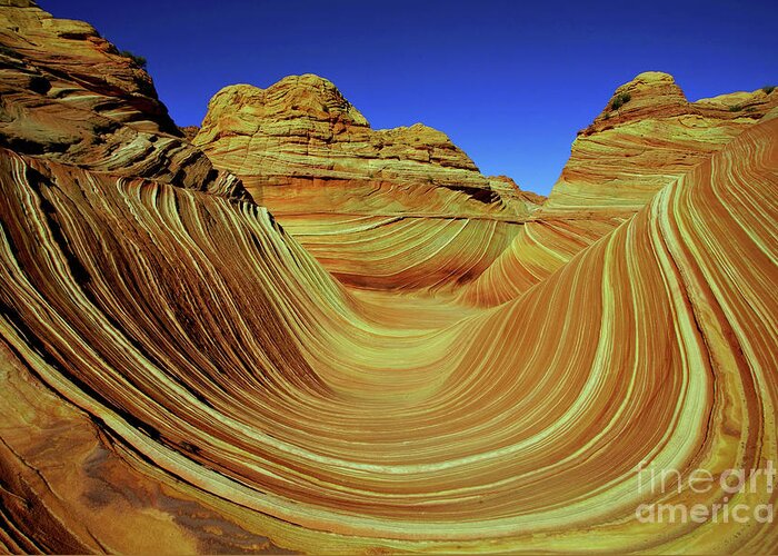 Arizona Greeting Card featuring the photograph Wave by Roxie Crouch