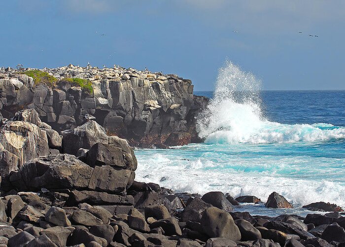 Waves Greeting Card featuring the photograph Waves Crashing on Isla Espanola by Alan Lenk