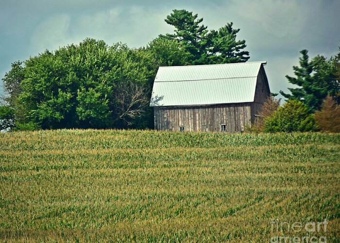 Waves Of Corn Greeting Card featuring the photograph Waves Of Corn by Kathy M Krause