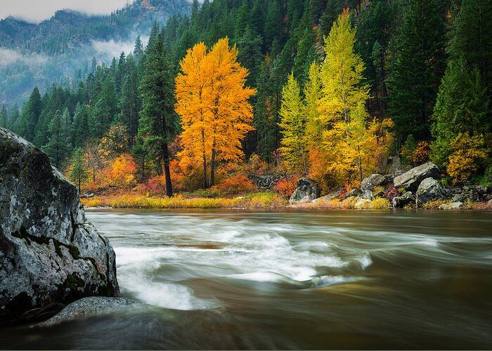Fall Greeting Card featuring the photograph Wenatchee Riverside by Dan Mihai