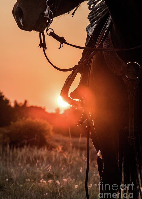 2017 Greeting Card featuring the photograph Western Sunset by Terri Cage
