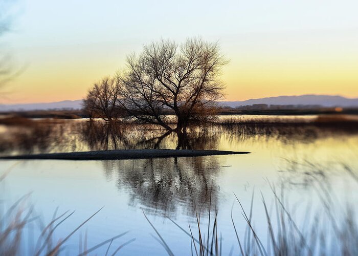 Wetlands Greeting Card featuring the photograph Wetland Haven by Alan C Wade