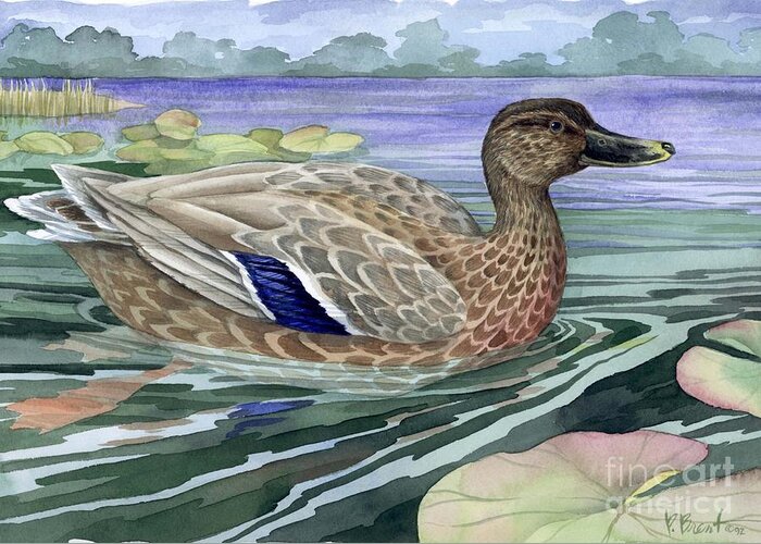 Duck Greeting Card featuring the painting Wetland Mallard - Female by Paul Brent