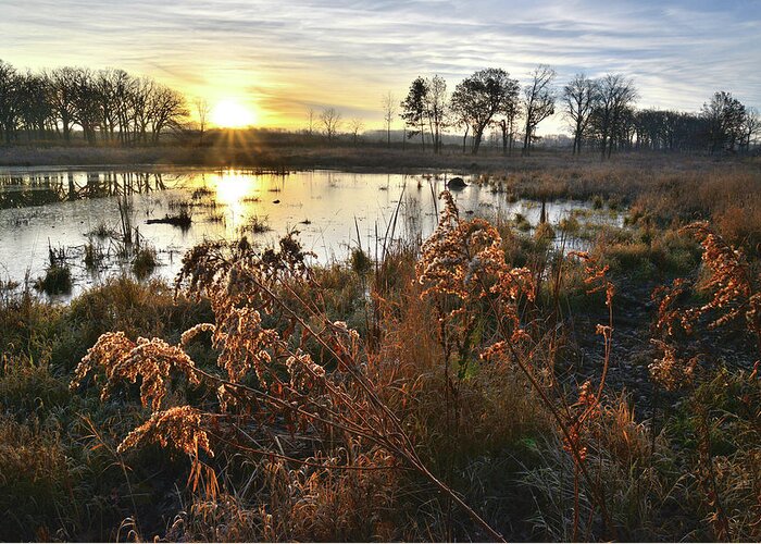 Glacial Park Greeting Card featuring the photograph Wetland Sunrise in Hackmatach National Wildlife Refuge by Ray Mathis