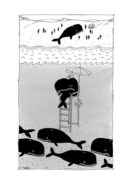Whale Greeting Card featuring the drawing Whale Lifeguard by Edward Steed