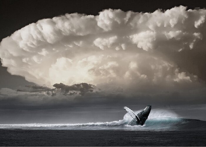 Whale Greeting Card featuring the photograph Whale Storm by Ally White