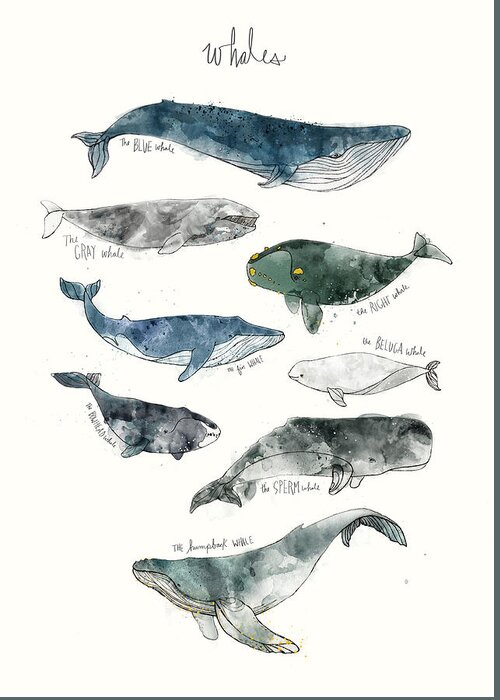 #faatoppicks Greeting Card featuring the painting Whales by Amy Hamilton