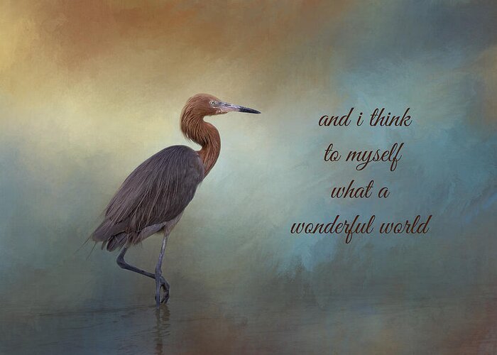 Reddish Egret Greeting Card featuring the photograph What A Wonderful World by Kim Hojnacki