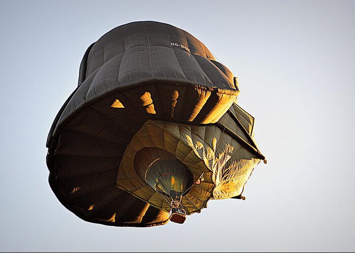 Hot Air Balloon Greeting Card featuring the photograph What Lies Beneath by AJ Schibig