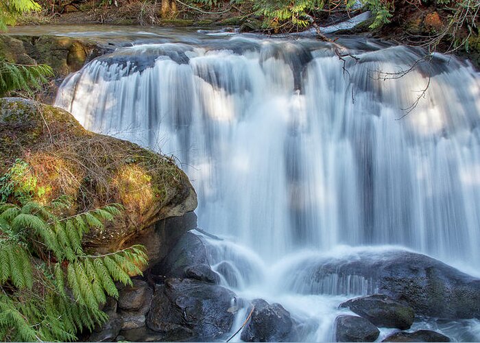 Whatcom Falls Greeting Card featuring the photograph Whatcome Falls by Tony Locke