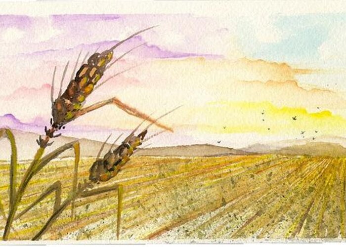Meadow Greeting Card featuring the digital art Wheat field study two by Darren Cannell