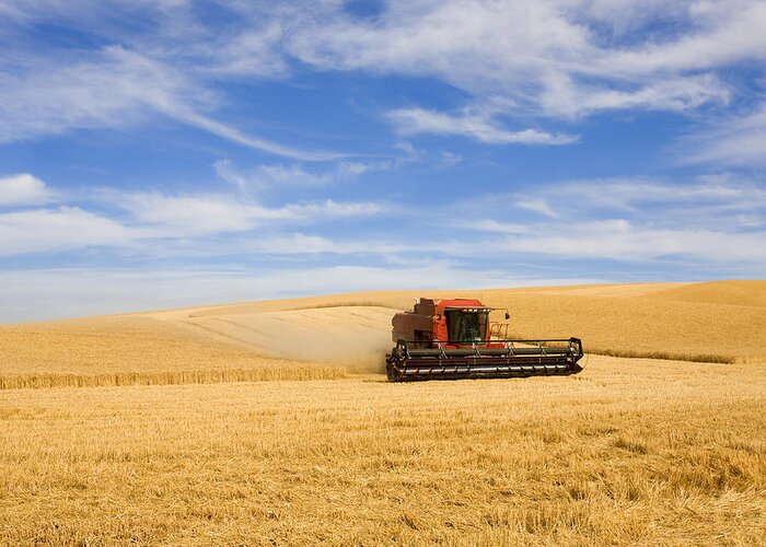 Combine Greeting Card featuring the photograph Wheat Harvest by Michael Dawson