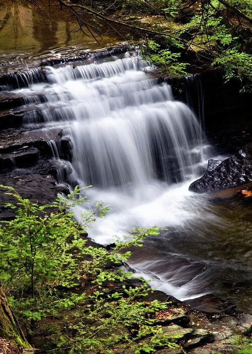 Waterfall Greeting Card featuring the photograph Cascading Waterfall by Christina Rollo