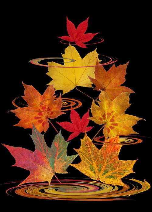 Autumn Leaves Greeting Card featuring the photograph Whirling Autumn Leaves by Gill Billington