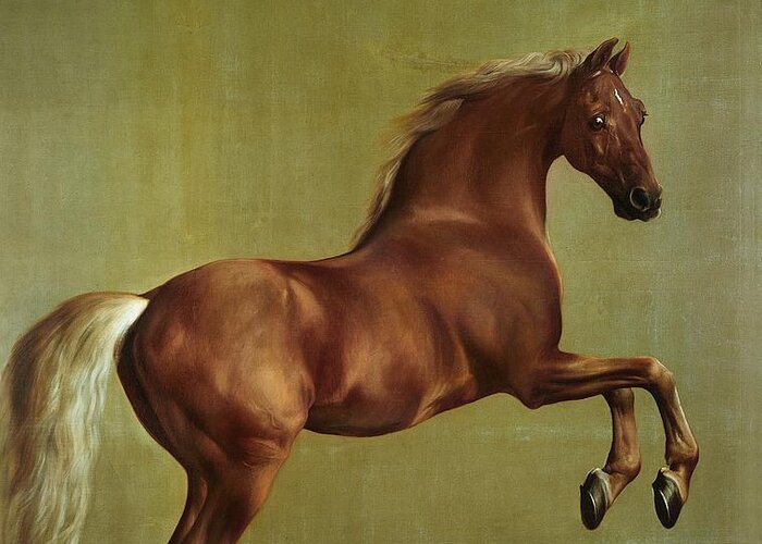Whistlejacket Greeting Card featuring the painting Whistlejacket by George Stubbs