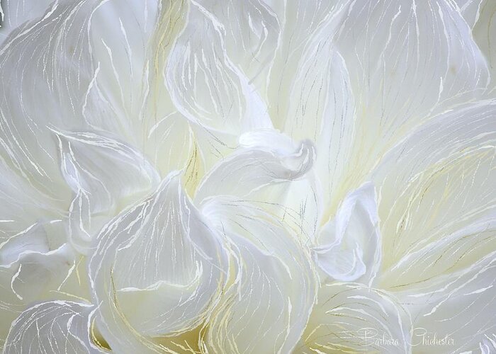 White Chrysanthemum Greeting Card featuring the painting White Chrysanthemum by Barbara Chichester
