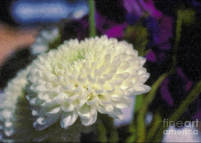 White Chrysanthemum Flower Beautiful Mum Greeting Card featuring the photograph White Chrysanthemum Flower by David Zanzinger