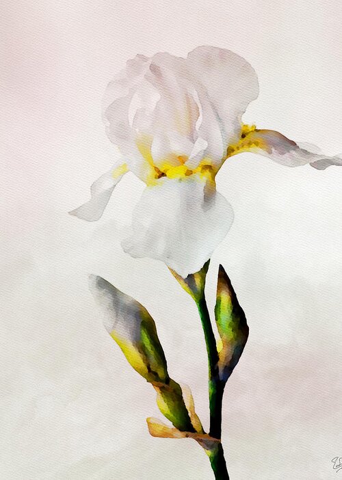 Watercolor Greeting Card featuring the photograph White Lily Faux Watercolor by Endre Balogh