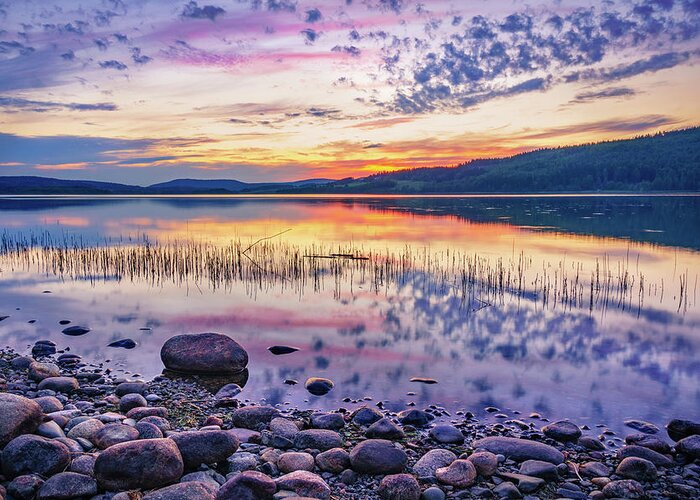 Europe Greeting Card featuring the photograph White night sunset on a Swedish lake by Dmytro Korol
