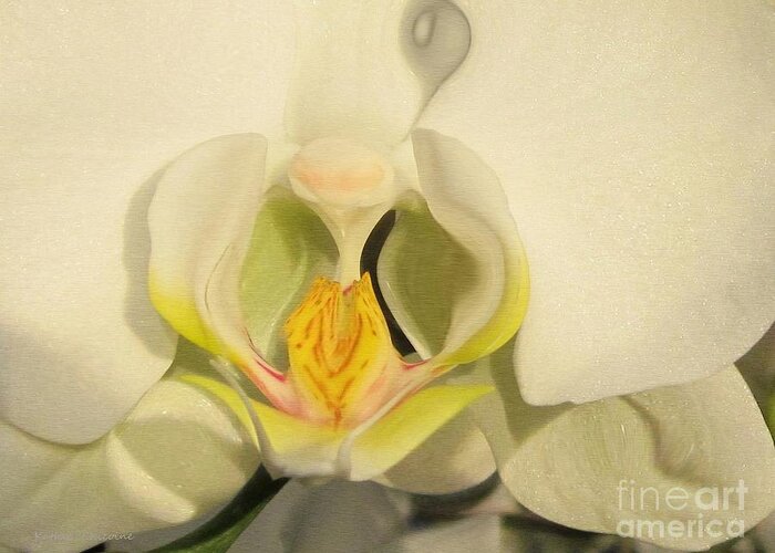 Photography Greeting Card featuring the photograph White Orchid by Kathie Chicoine