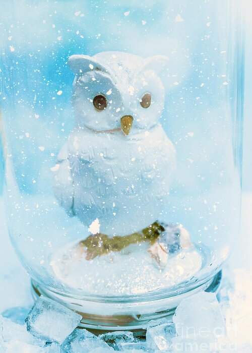 Owl Greeting Card featuring the photograph White owl in snow globe by Jorgo Photography