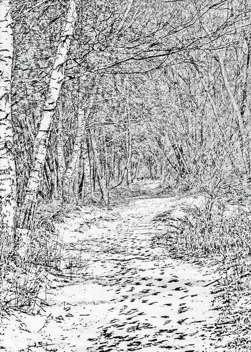 White Greeting Card featuring the photograph White path BW #g0 by Leif Sohlman