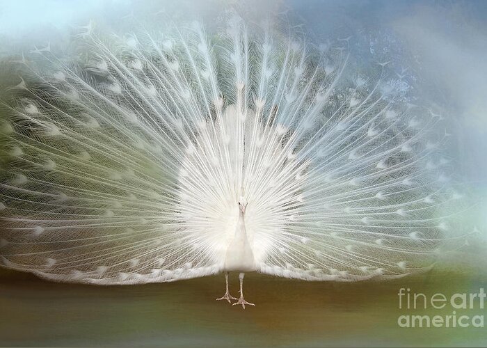 Peacock Greeting Card featuring the photograph White Peacock in all His Glory by Bonnie Barry