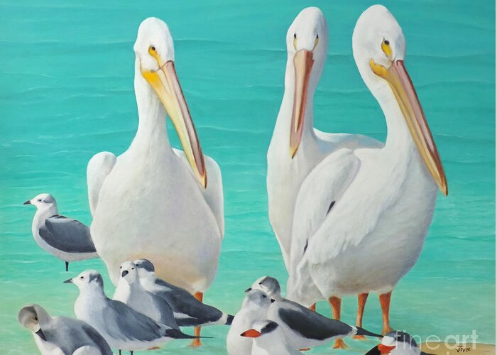 Pelican Greeting Card featuring the painting White Pelicans by Jimmie Bartlett