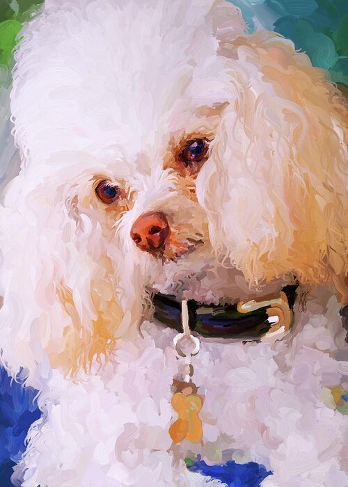 White Greeting Card featuring the painting White Poodle by Jai Johnson
