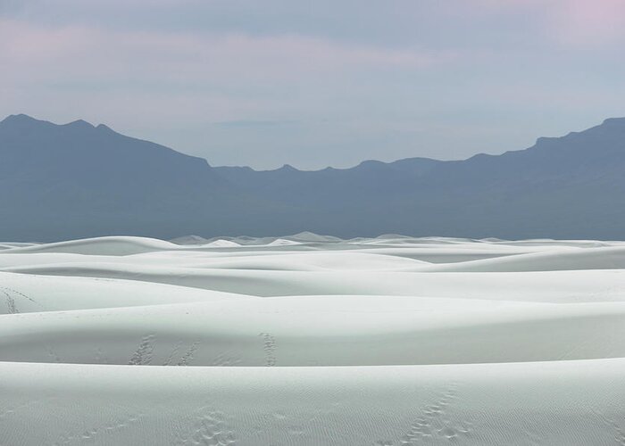 White Sands Greeting Card featuring the photograph White Sands by David Diaz