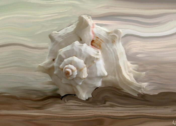 Seashell Greeting Card featuring the photograph White shell by Linda Sannuti
