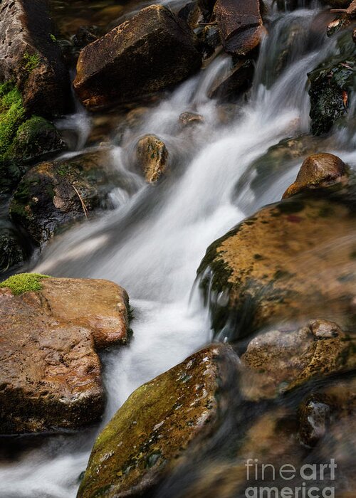 Water Greeting Card featuring the photograph White Water by Steve Triplett