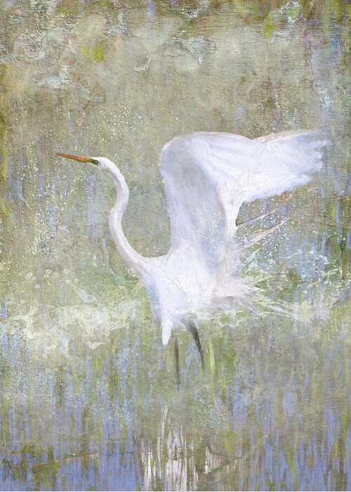 Bird Greeting Card featuring the photograph White Wings by Karen Lynch