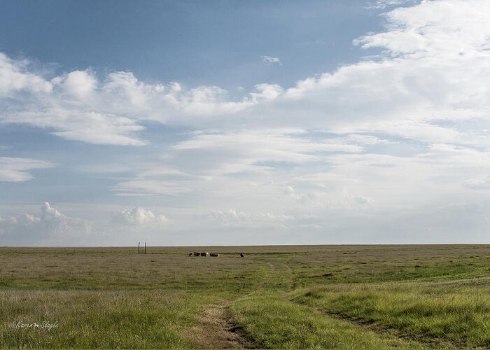 Texas Greeting Card featuring the photograph Wide Open Spaces by Karen Slagle