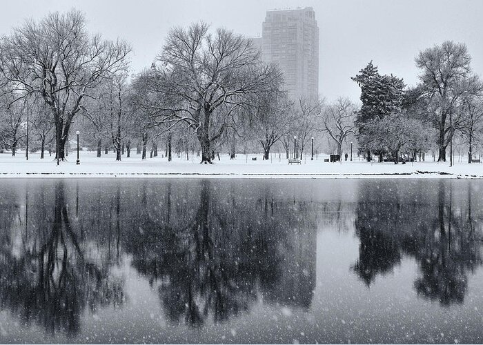 Denver Greeting Card featuring the photograph Snowy reflections of trees in lake at City Park, Denver CO by Philip Rodgers