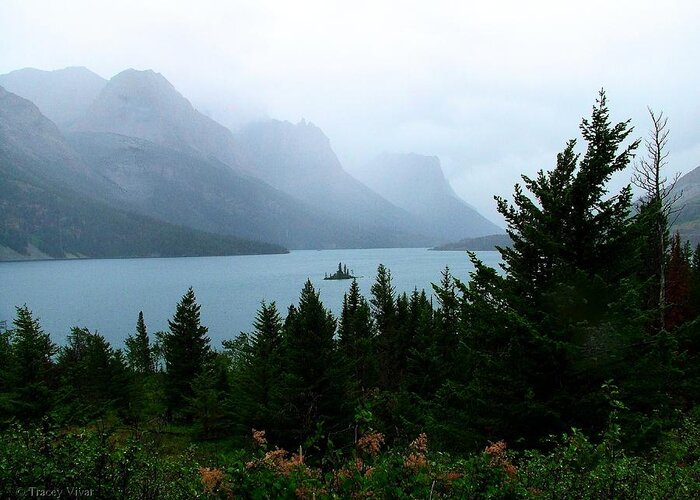 St Mary Lake Greeting Card featuring the photograph Wild Goose Island in the Rain by Tracey Vivar