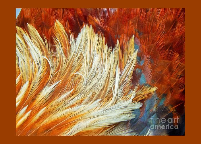 Roosters Greeting Card featuring the photograph Wild Rooster Feather Abstract by Jan Gelders