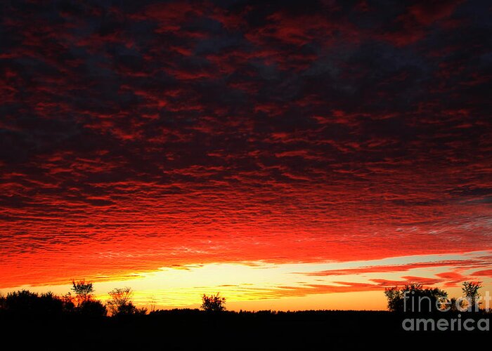 Red Sky Greeting Card featuring the photograph Wild Sky 2 by Elaine Hunter
