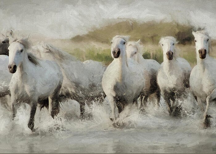Horse Greeting Card featuring the photograph Wild White Horses of the Camargue I by Karen Lynch