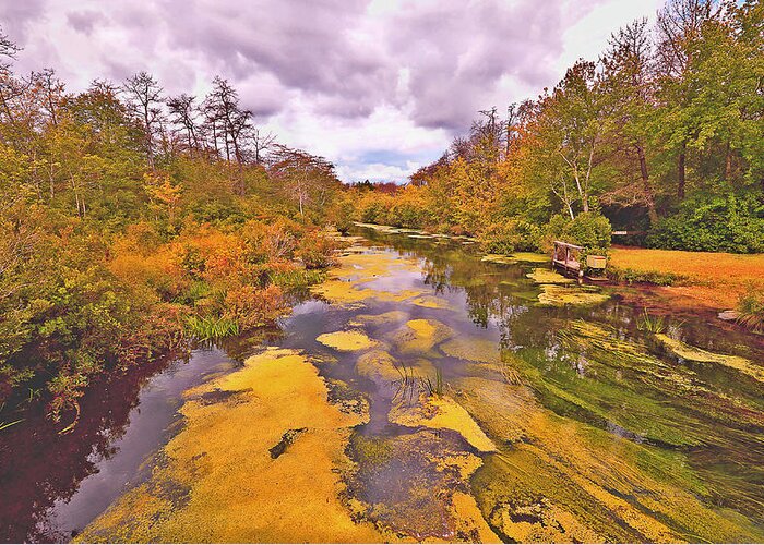 Connetquot Brook Greeting Card featuring the mixed media Connetquot Brook by Stacie Siemsen